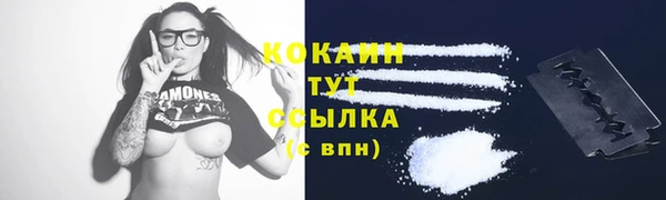 мяу мяу мука Баксан